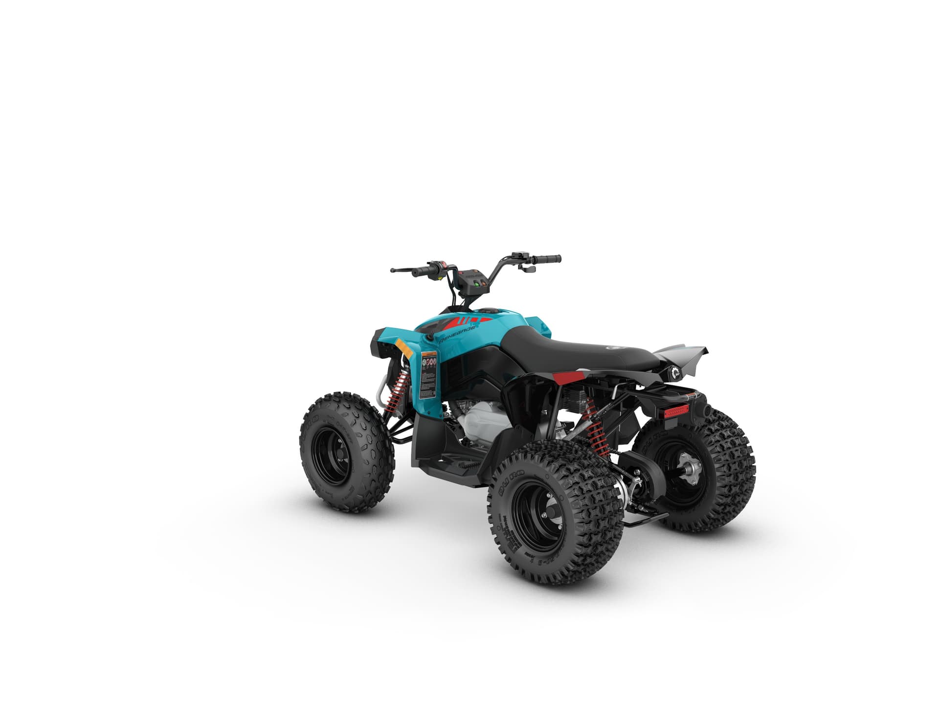 Can-Am Renegade 110 EFI — Iceberg Blue & Black, вид сзади
